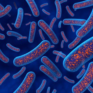 El laboratorio de JAL