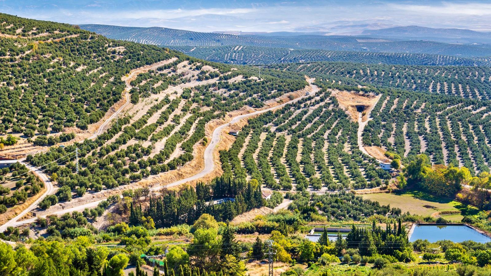Escenas flamencas - Flamencos en Úbeda - 14/04/23 - Escuchar ahora
