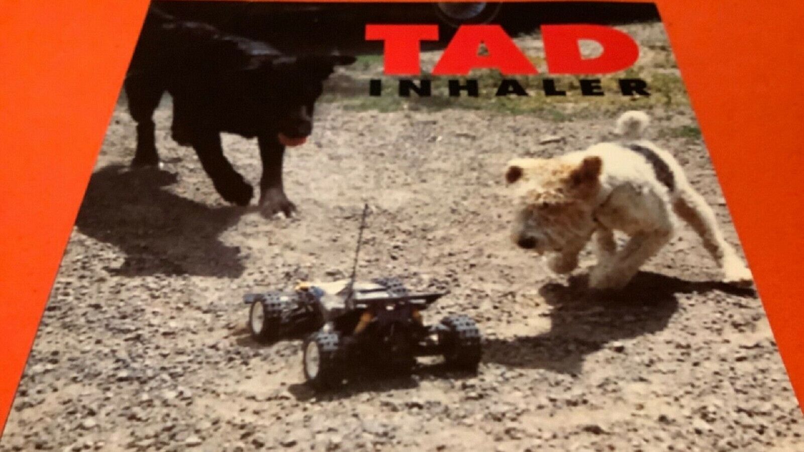 Mi Camerino - La obsesión perruna del grunge - 17/04/2023 - Escuchar ahora