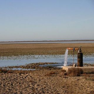 Situación de emergencia en Doñana