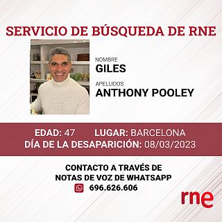 Servicio de búsqueda