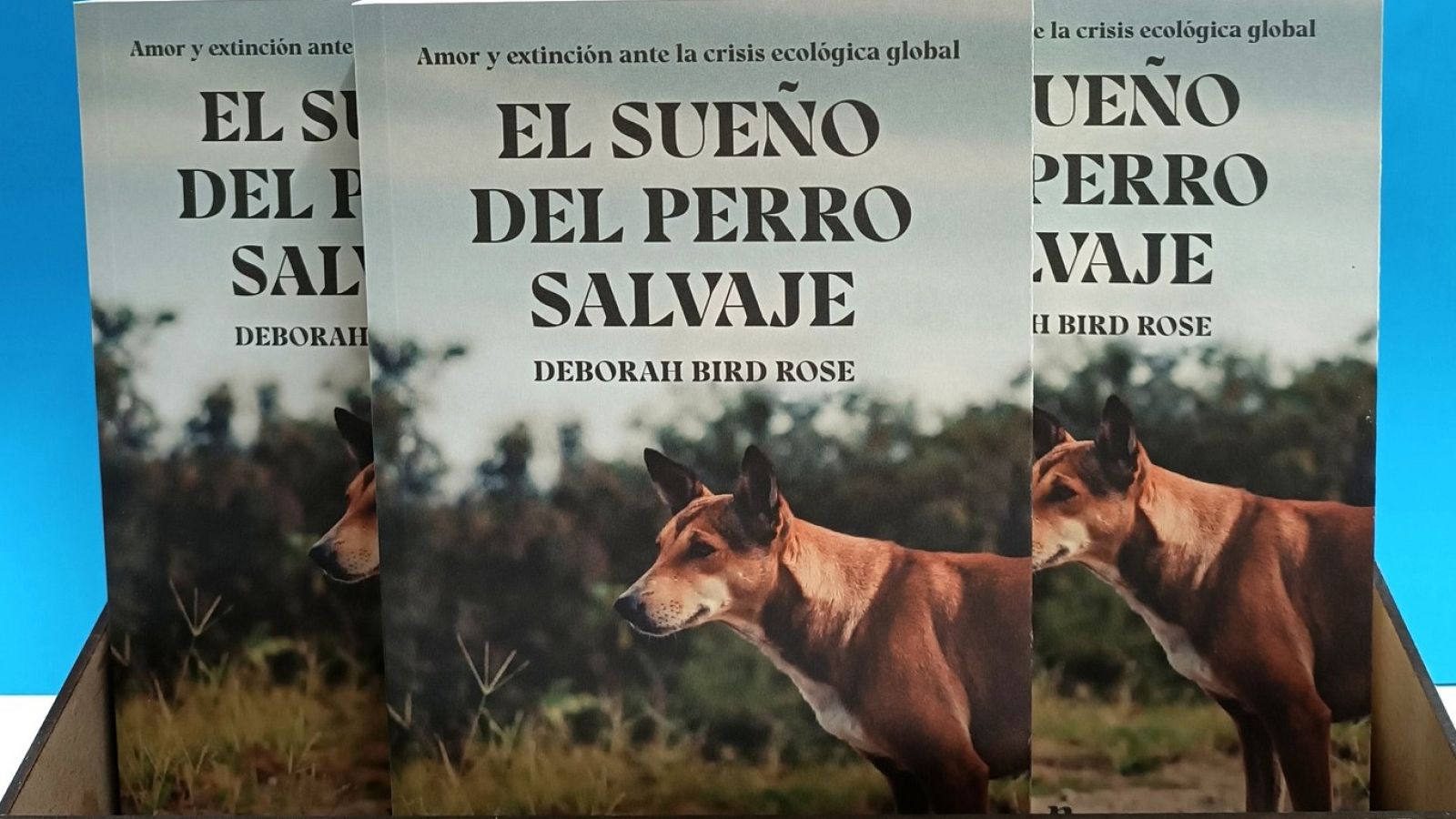 Vida verde - 'El Sueño del Perro Salvaje' y la ética de la conectividad  - 22/04/23 - escuchar ahora