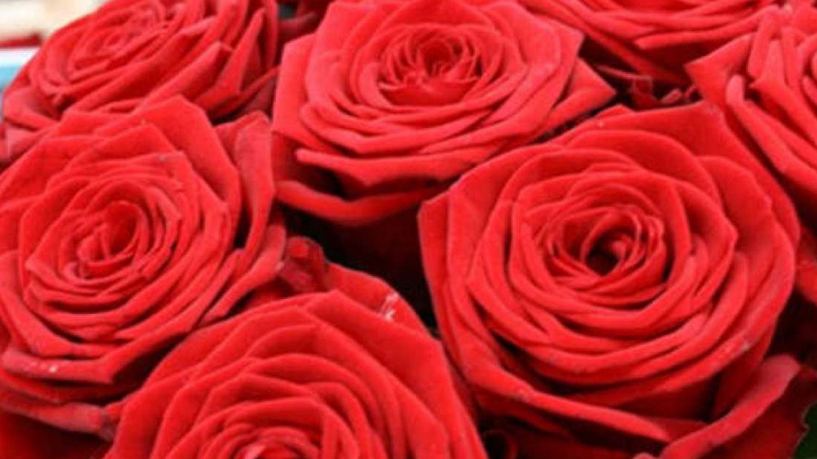 Va de Cine - Josep Mª Bunyol i Use Lahoz - Escoltar Ara