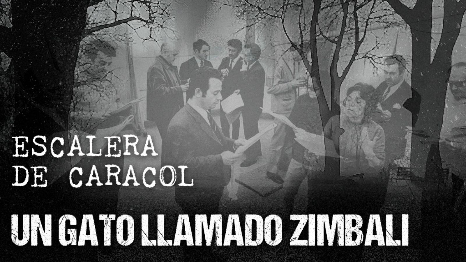 Escalera de caracol - Un gato llamado Zimbali