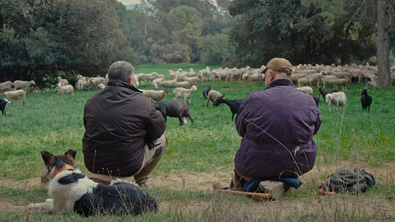 Las mañanas de RNE con Íñigo Alfonso - Empecemos el día con... - Escuchar ahora 