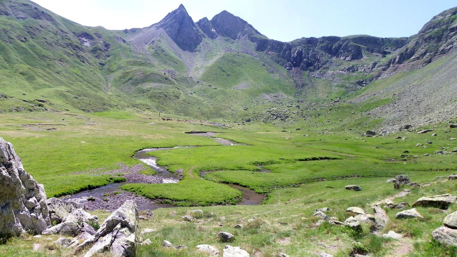 El bosque habitado - Canal Roya. Llamada a concejo y sentido común - 23/04/23 - escuchar ahora