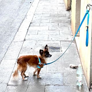 Alguien debería prohibir los domingos por la tarde