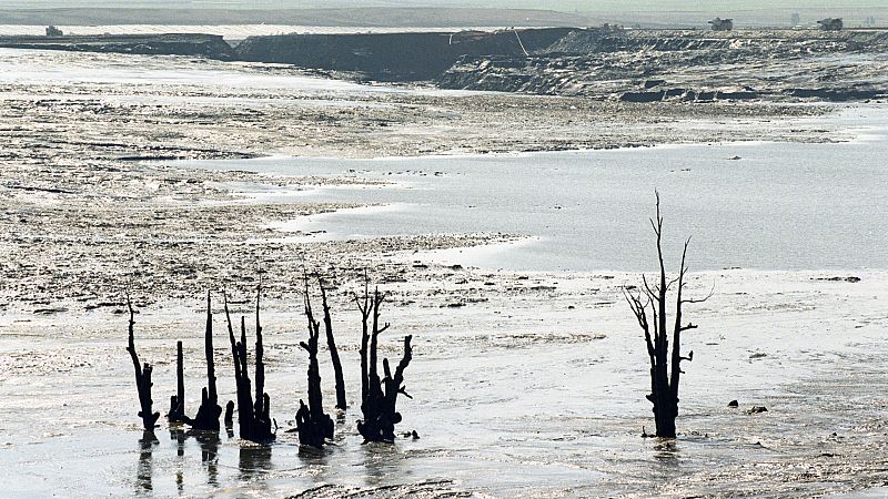 Crónica de Andalucía - 25 años del peor desastre medioambiental de Andalucía - Escuchar ahora