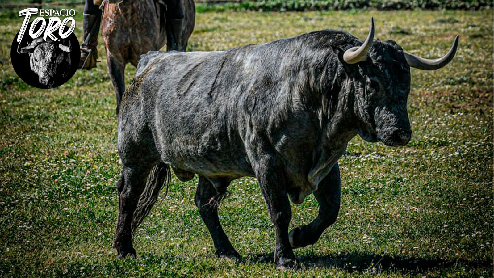 Espacio Toro - Especial Feria de Abril - Escuchar ahora