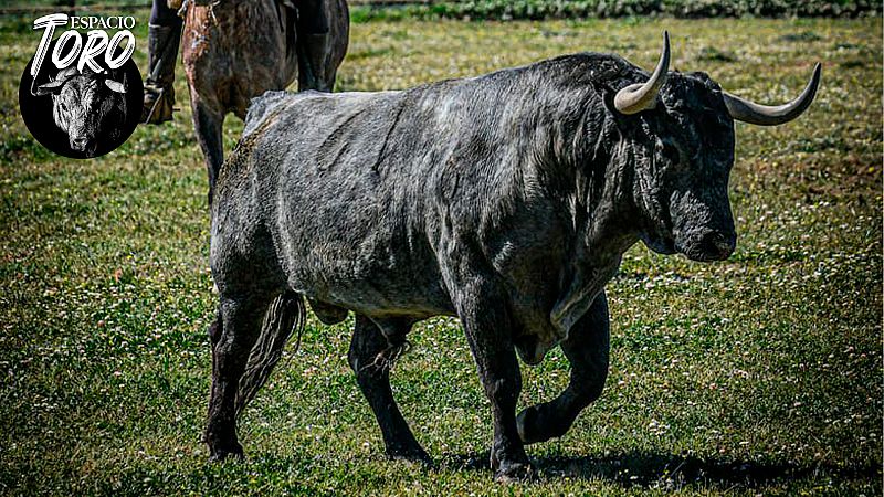 Espacio Toro - Especial Feria de Abril - Escuchar ahora