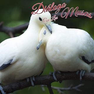 Diálogo con las musas