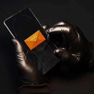 Seguridad del internauta