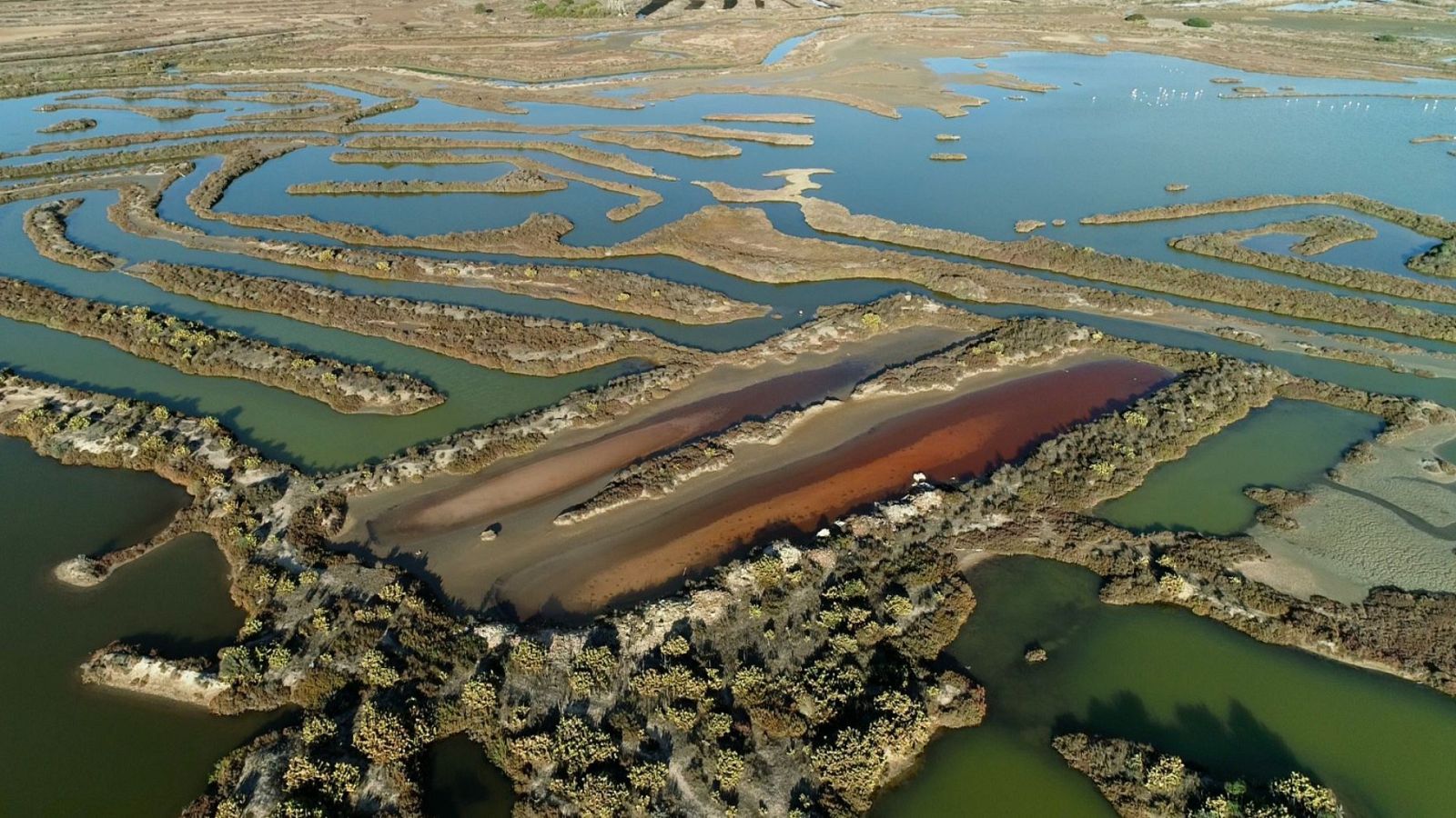 Reserva natural - 'Bahía en tres actos' y manifiesto por la vida - 27/04/23 - Escuchar ahora