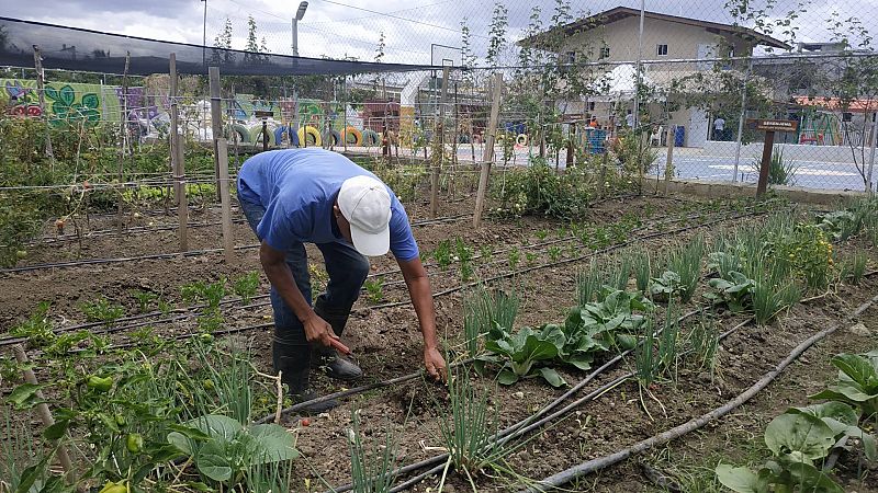 Reportajes 5 continentes - Comedores escolares, la solución de la República Dominicana contra el hambre - Escuchar ahora