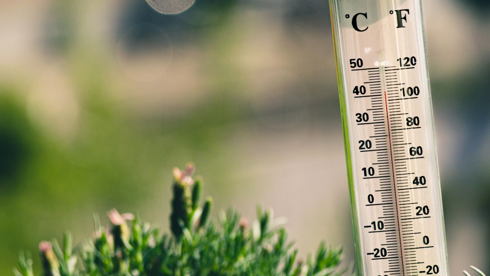 Episodi de calor extrema amb xifres superiors als 30ºC