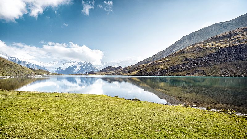 Las mañanas de RNE - La firma I María Blasco: el valor económico de la Naturaleza - Escuchar ahora