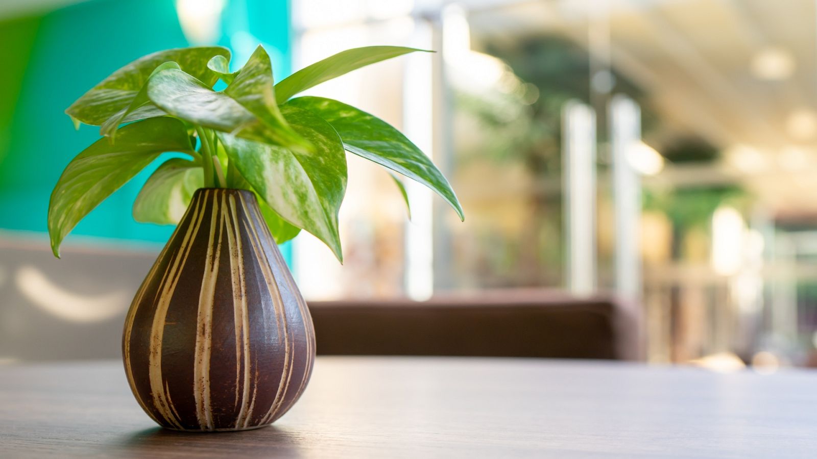 Adicciones - Buyo-Areca- Betel - 03/05/23 - escuchar ahora