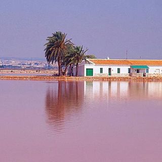Alguien debería prohibir los domingos por la tarde