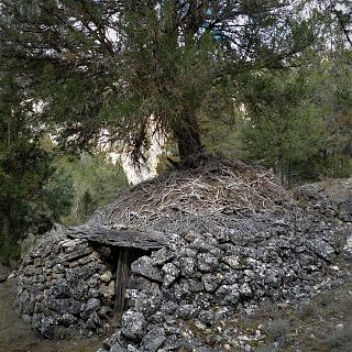 El bosque habitado