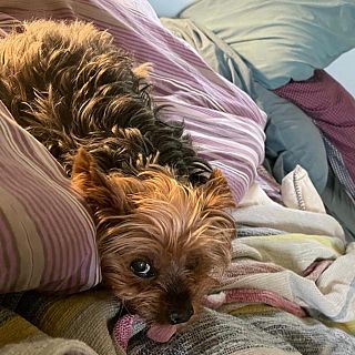 Alguien debería prohibir los domingos por la tarde