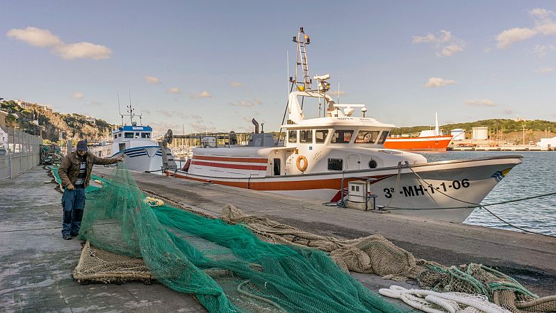 Las Mañanas de RNE - Mari Carmen Navas, presidenta de la Federación Provincial de Cofradías de Pescadores de Málaga: "Aumentar las restricciones supone dejarnos sin caladeros para pescar" - Escuchar ahora