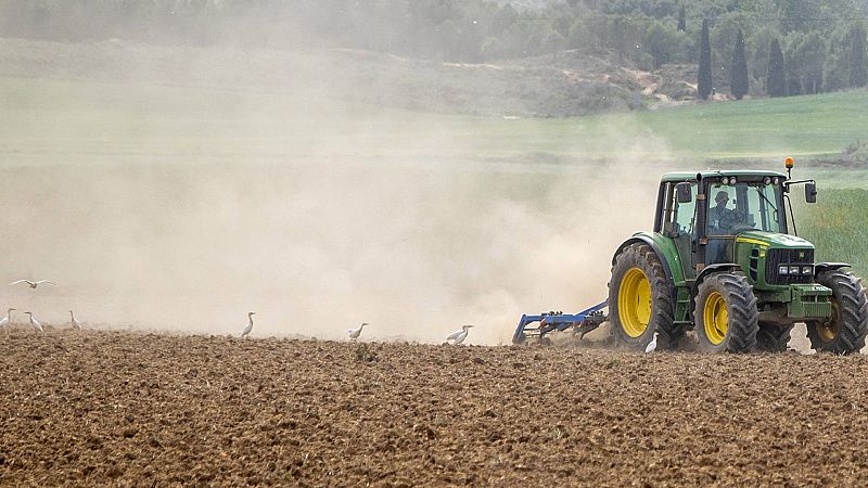 24 horas - Julio Berbel, miembro del Comité de Expertos de la Sequía de Andalucía: "Las medidas contra la sequía no sirven para el regadío andaluz" - Escuchar ahora