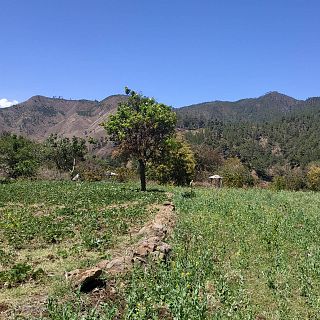 Reportajes 5 continentes