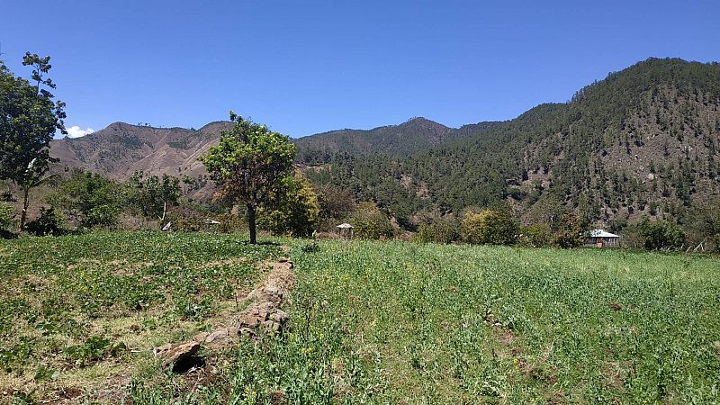 Reportajes 5 continentes - La agricultura sostenible, clave contra la pobreza en República Dominicana - Escuchar ahora