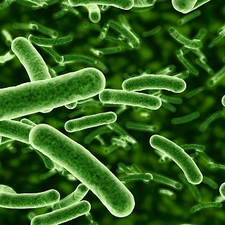 El laboratorio de JAL