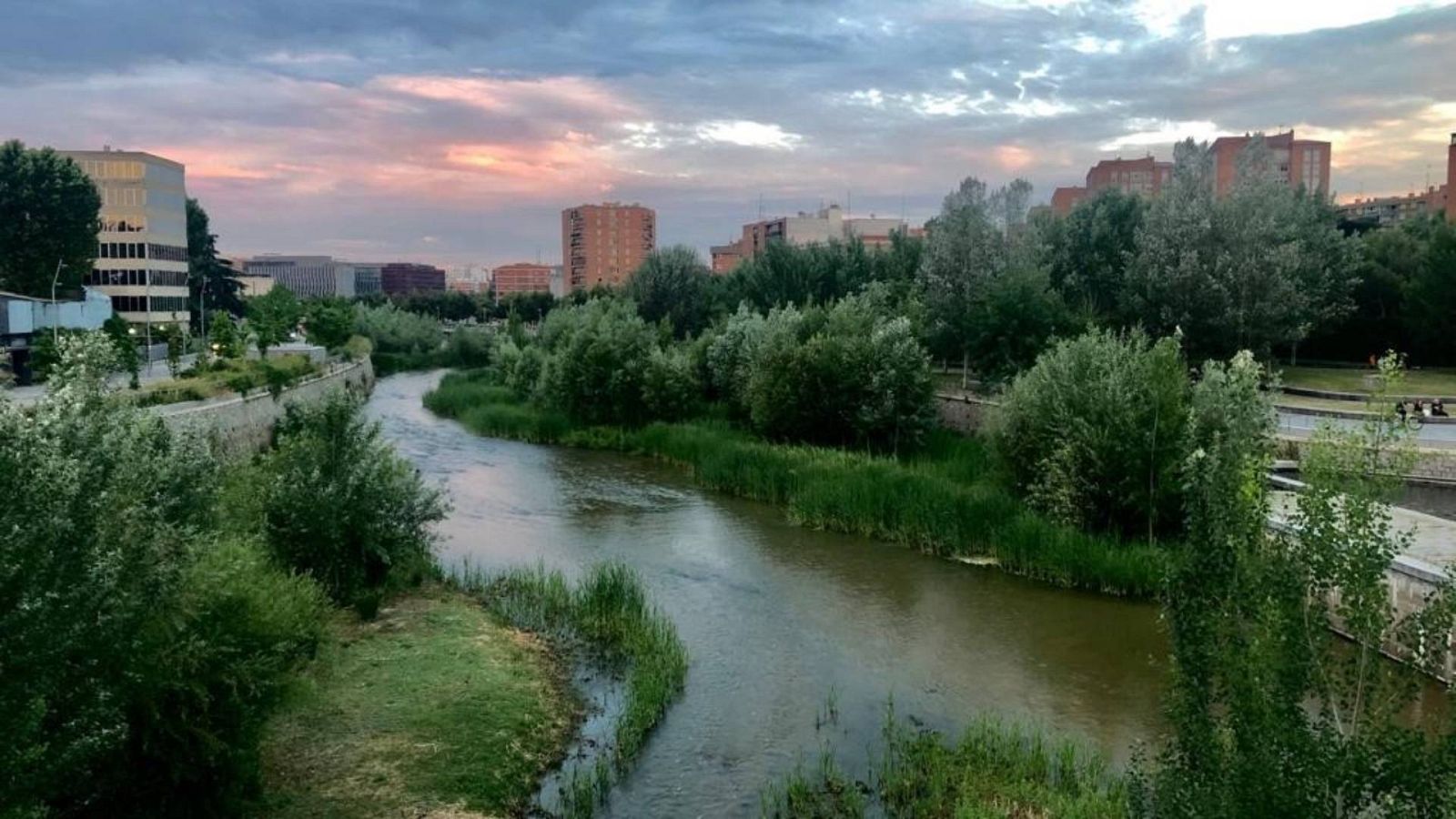 Reserva natural - Aves y arboledas reclaman su espacio urbano - 11/05/23 - Escuchar ahora