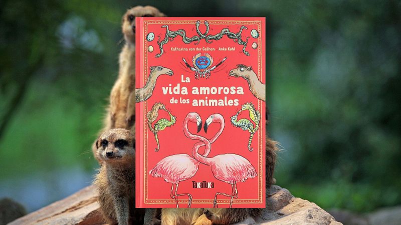 El ojo crítico - 'La vida amorosa de los animales' en la Pequeteca - Escuchar ahora