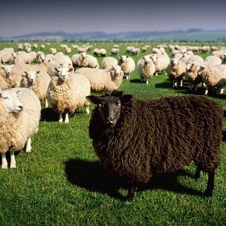 La cuadratura del círculo