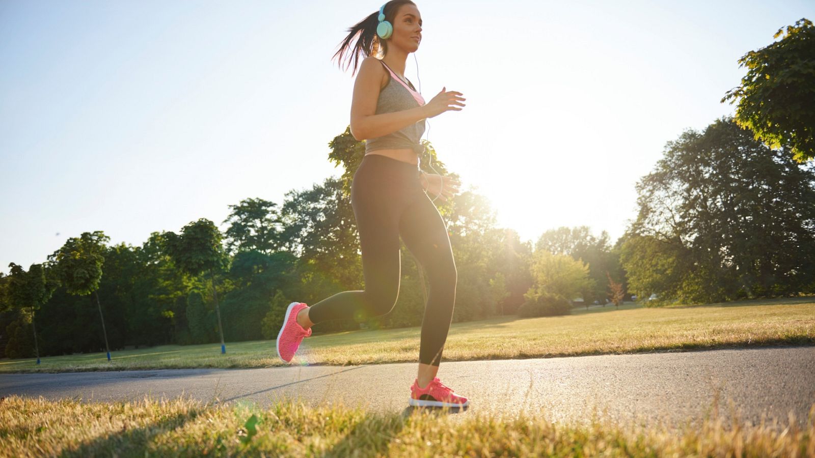 Jugando con la oca. Observar, controlar, actuar - Las endorfinas - 17/05/23 - Escuchar ahora