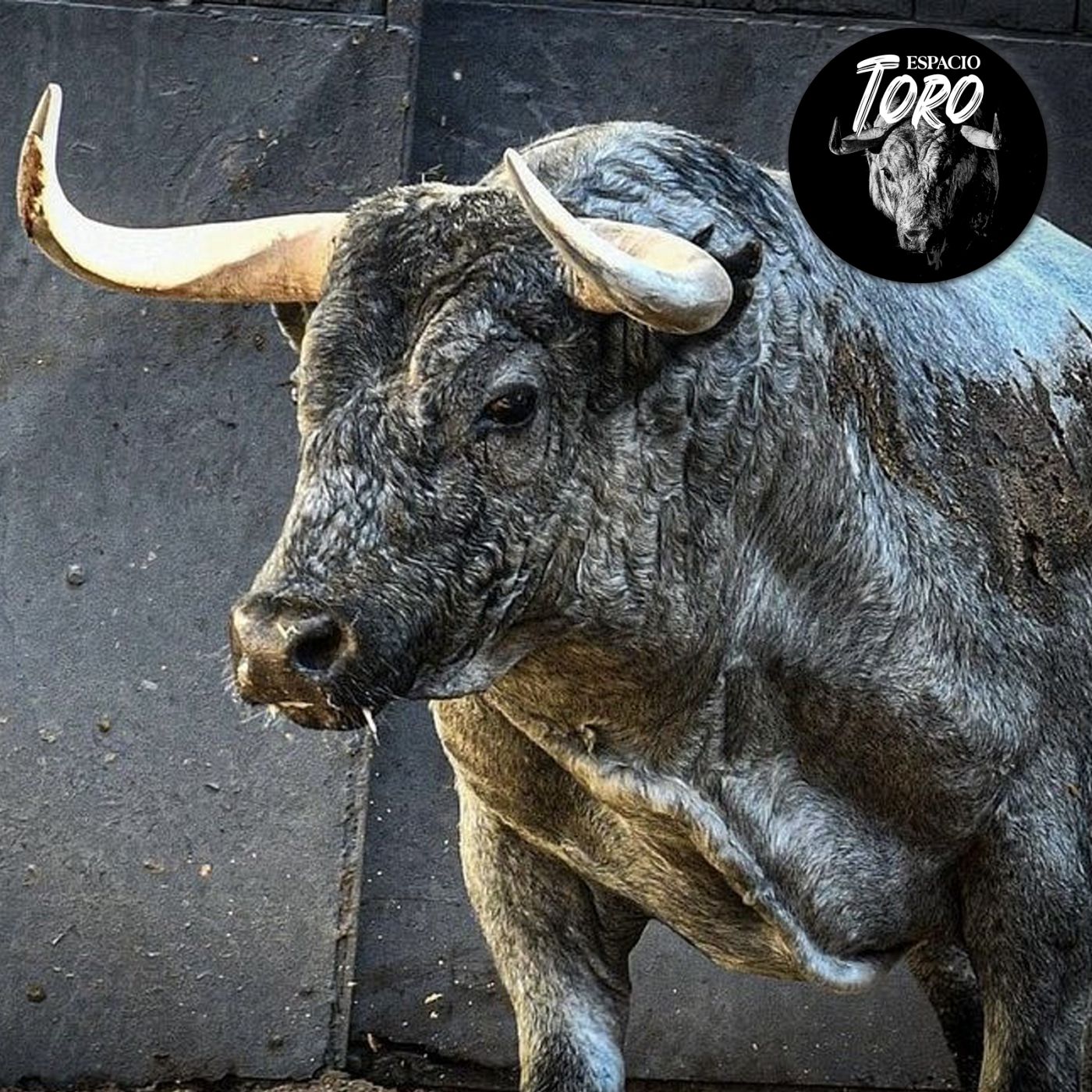 Espacio Toro - Escolar, Fandi y Perera -  Escuchar ahora