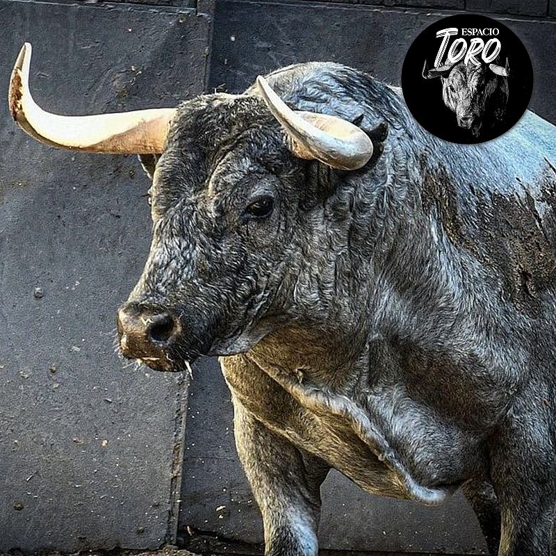 Espacio Toro - Escolar, Fandi y Perera -  Escuchar ahora