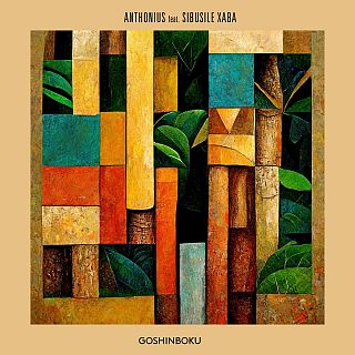 'Goshinboku', un disco de Anthonius y Sibusile Xaba