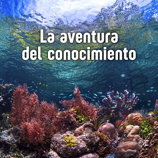 La aventura del conocimiento