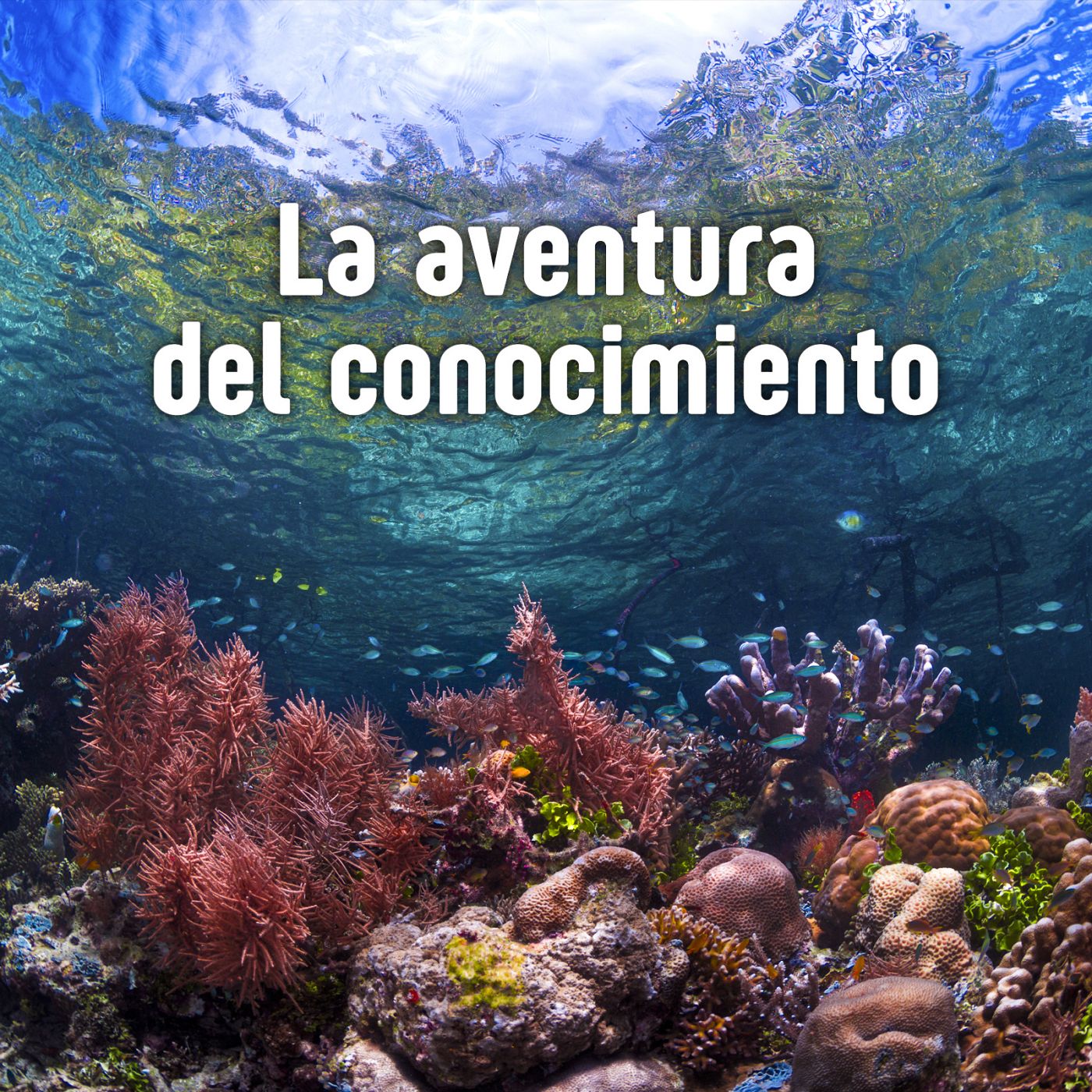 La aventura del conocimiento - El Instituto de Ciencias del Mar - Escuchar ahora