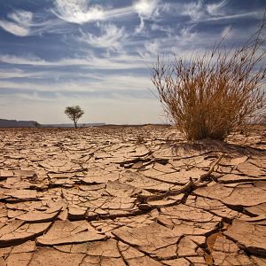 Reportajes en Radio 5 - Reportajes Radio 5 - La sequía es el mayor siniestro en la historia de Agroseguro - 26/05/23 - Escuchar ahora