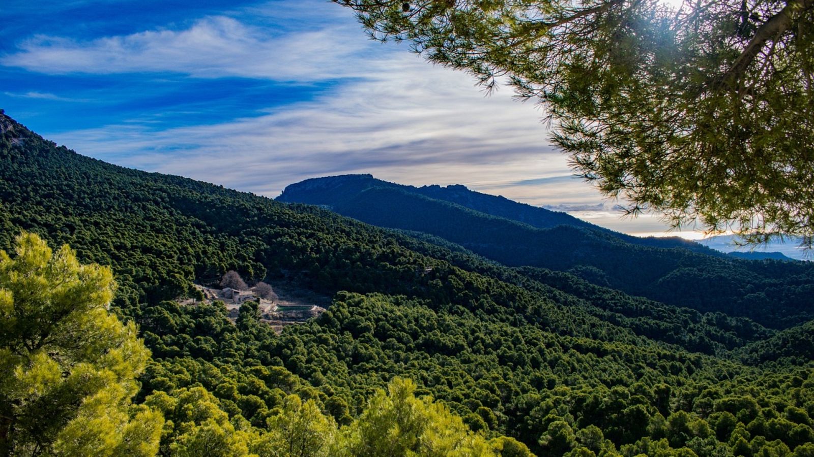 Reserva natural - 'Construyendo sobre nuestras raíces' - 25/05/23 - escuchar ahora