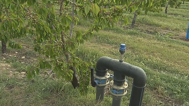 Restriccions d'aigua al Camp de Tarragona i les Terres de l'Ebre