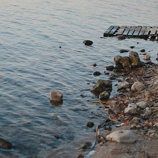 Regressió del litoral, hidràuliques en sequera i FessRural