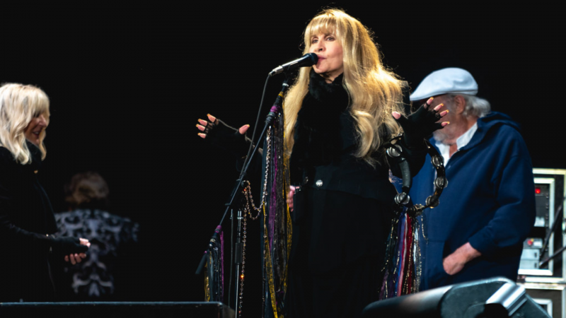 El nombre de Stevie Nicks siempre se asociará con Fleetwood Mac. Sin embargo, la cantante ha tenido una exitosa carrera en solitaria desde la disolución de la banda.