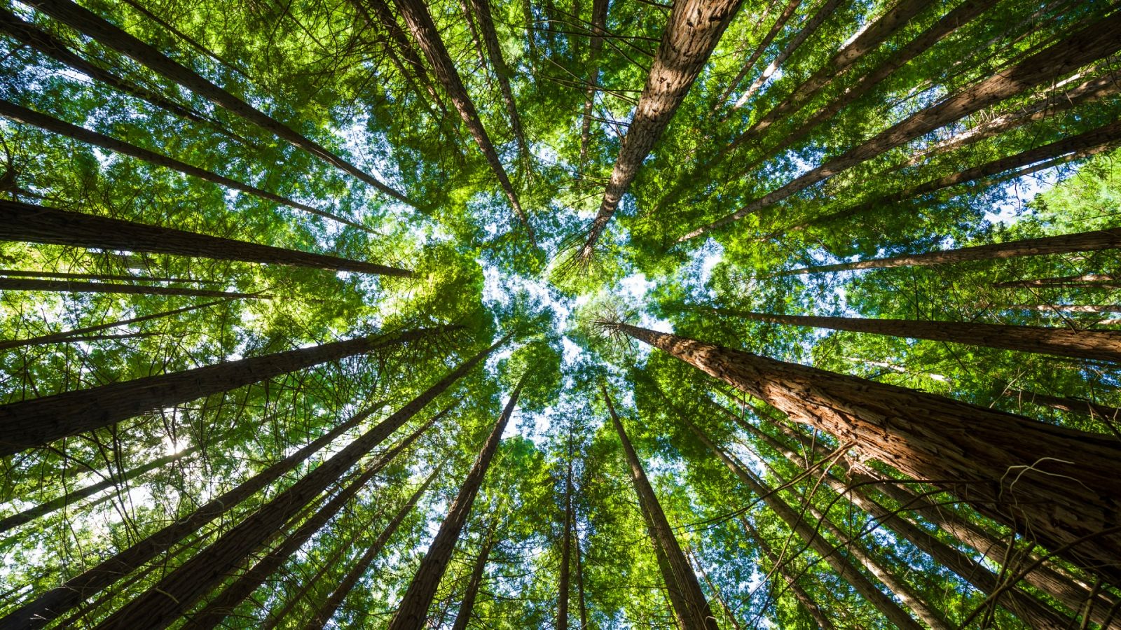 Escapadas - De Cudillero a la Reserva Barayo - 01/06/23 - escuchar ahora