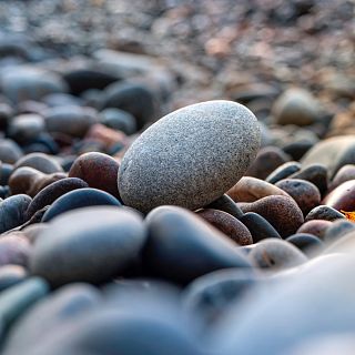 El laboratorio de JAL
