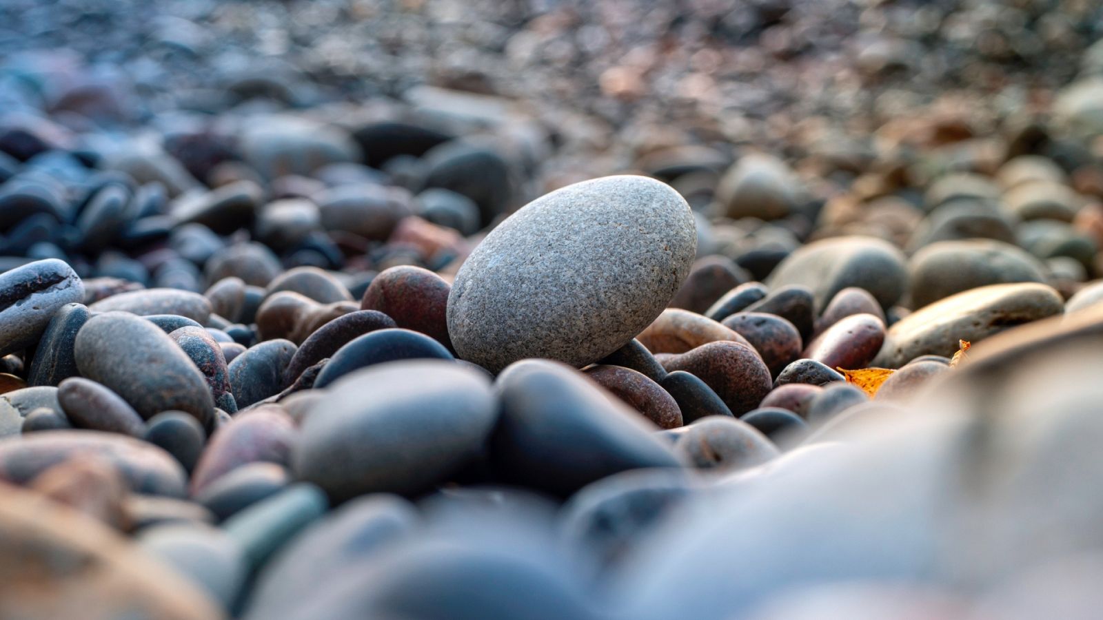 El laboratorio de JAL - La vida más extrema comiendo piedra - 01/06/23 - escuchar ahora