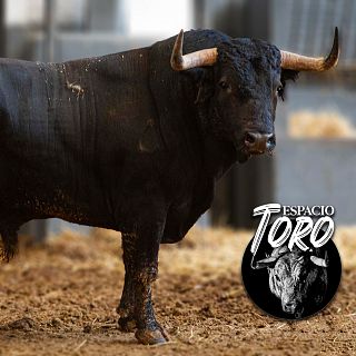 Espacio toro