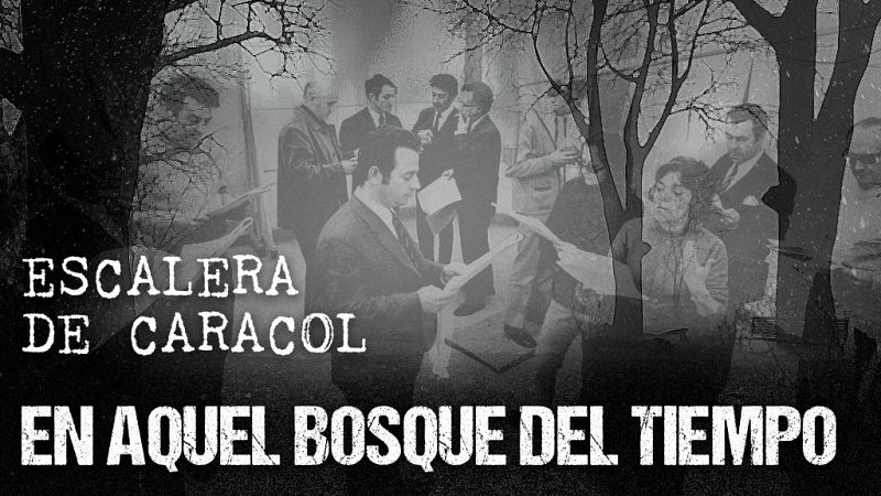 Escalera de caracol - En aquel bosque del tiempo