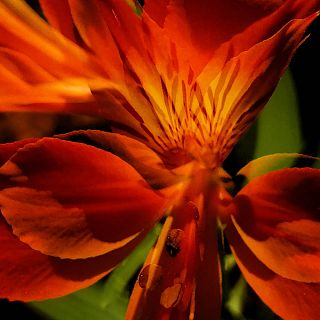 Tres en la carretera