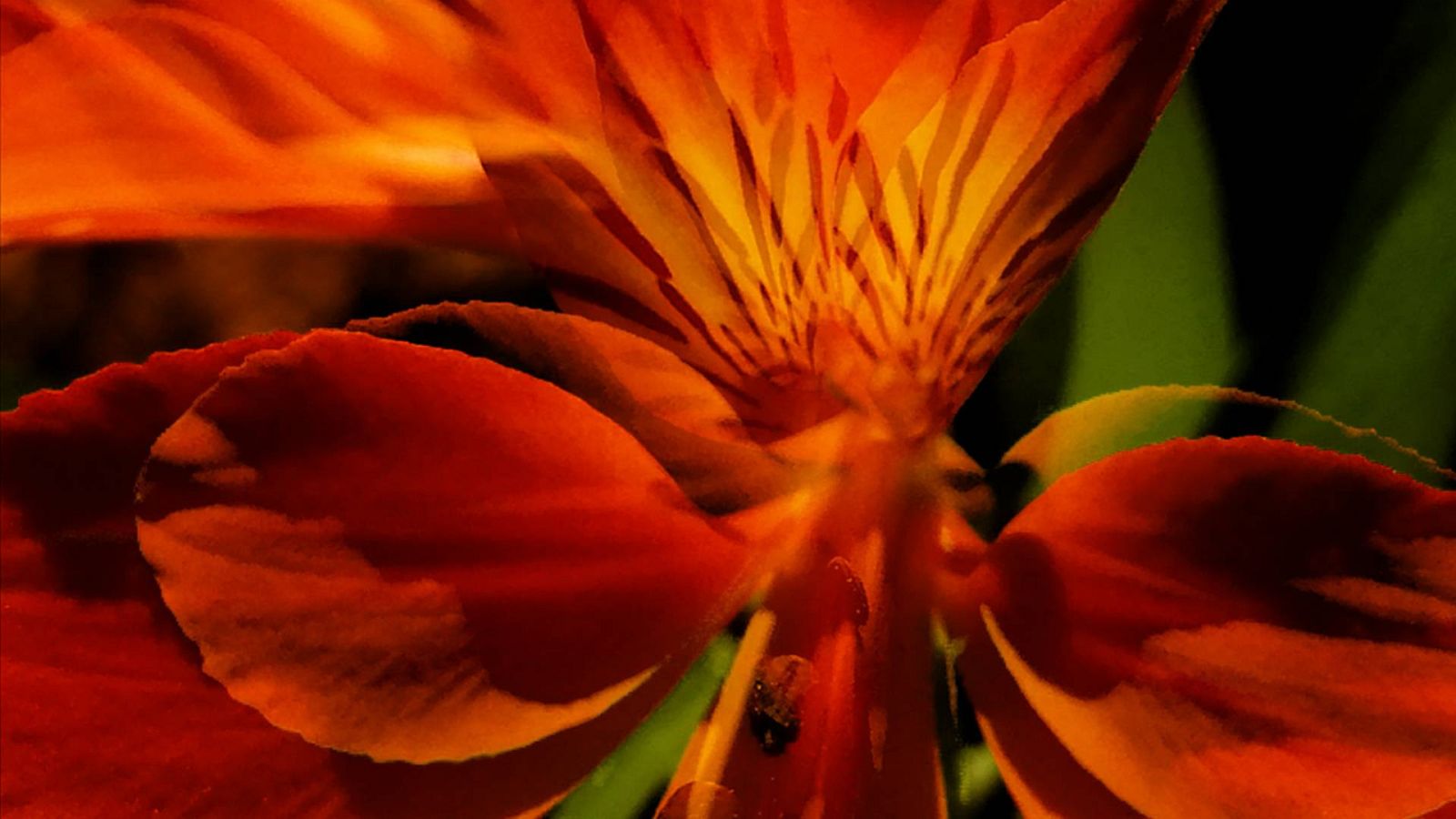 Tres en la carretera - (S8) XIV Mostra de Cinema Periférico - 03/06/23 - escuchar ahora